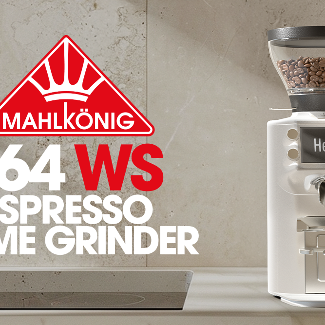 E64 WS Espresso Home Grinder on kitchen counter
