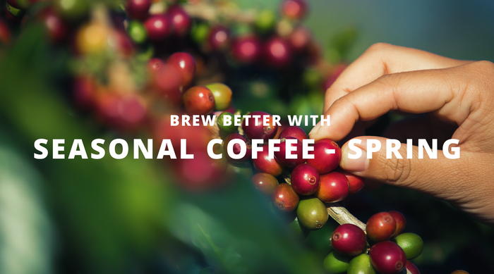 Brew Better with Seasonal Coffee - Spring