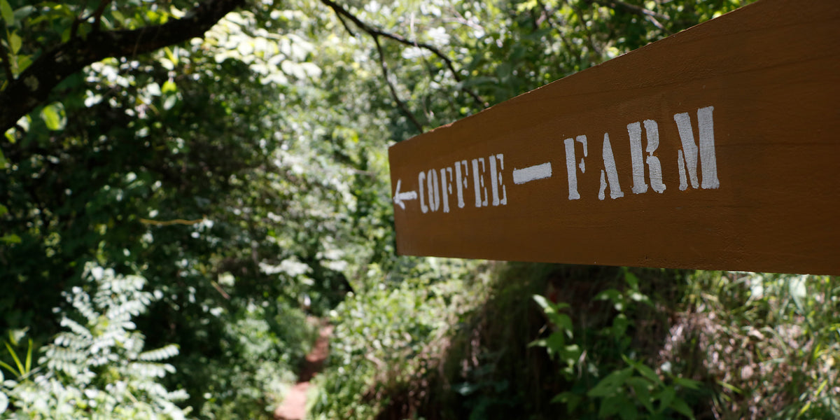 La Marzocco & Hemro Launch Hands for Songwa Foundation — Mahlkönig USA