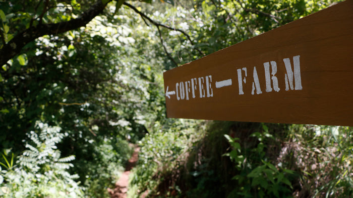 Coffee Farm Sign at Songwa