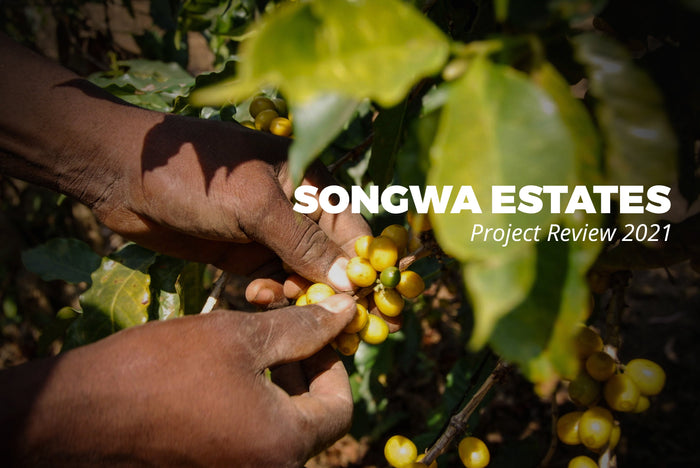 Good News from Tanzania: Songwa Estates Project Review 2021