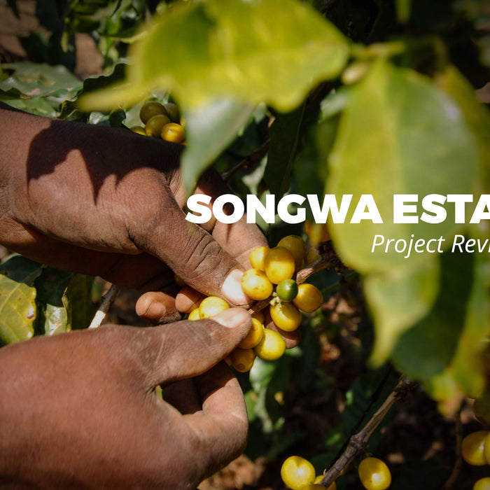 Good News from Tanzania: Songwa Estates Project Review 2021