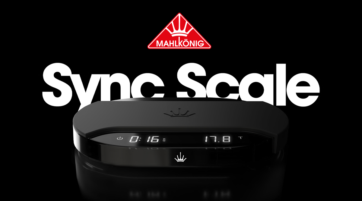 sync scale and Mahlkonig triangle logo
