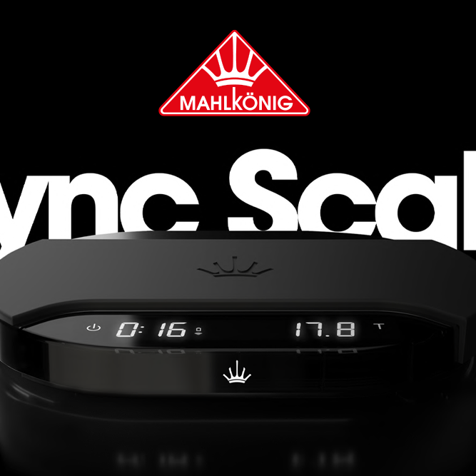 sync scale and Mahlkonig triangle logo