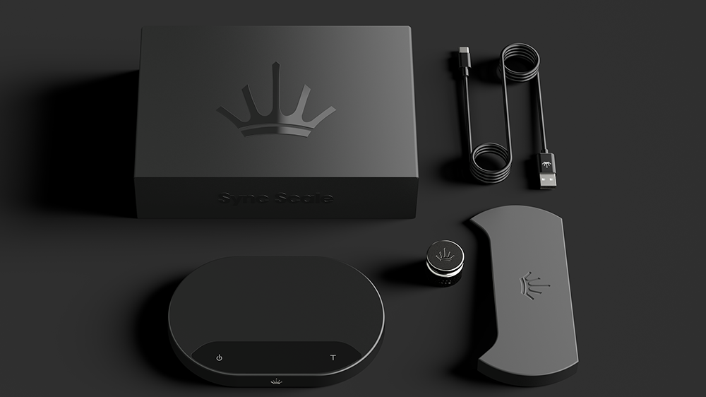 sync scale with box and accessories